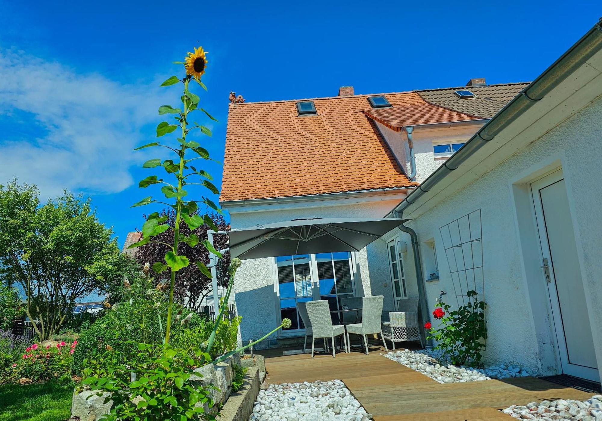 Вілла Ferienhaus Rosengarten Зельб Екстер'єр фото